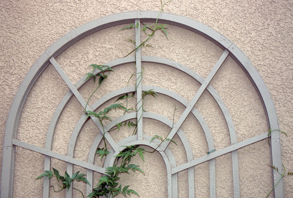 SamsGazebos Perspective Wooden French Trellises, Set of 3 - SamsGazebos ...